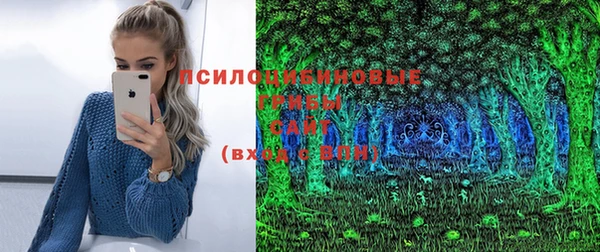 мяу мяу мука Алзамай