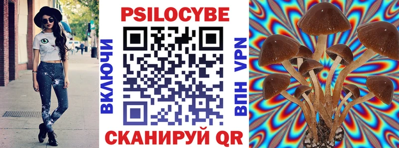 Псилоцибиновые грибы Psilocybe  блэк спрут ссылка  Дмитров 