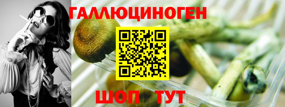 Псилоцибиновые грибы мухоморы  Псилоцибиновые грибы мицелий  Дмитров  Вход с VPN 