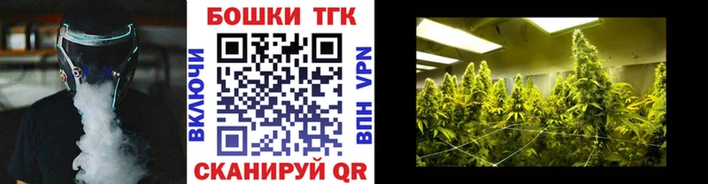 закладка  Дмитров  hydra маркетплейс  Бошки Шишки план 